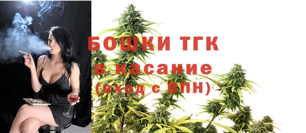 таблы Ельня